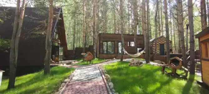 Магия леса - 0