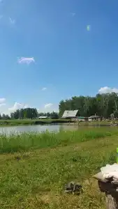 Веселая ферма - 49