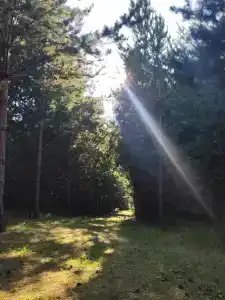 Лестория - 14