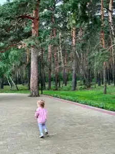 Буревестник - 18