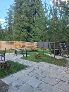 Лесная поляна - 36