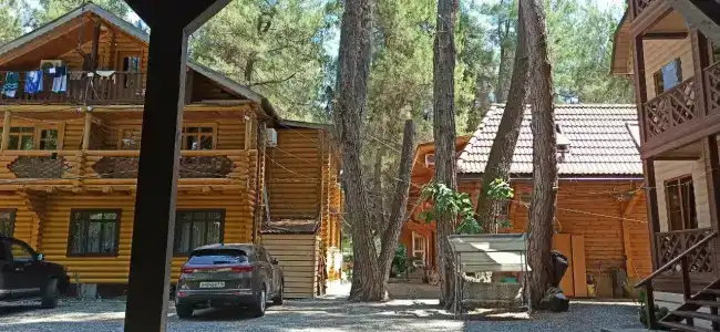 Сосновый бор - 29