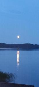 Хуторок у Сан Саныча - 39