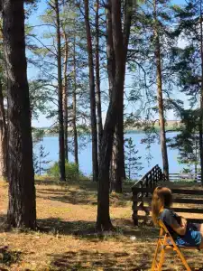 Муранский бор - 88