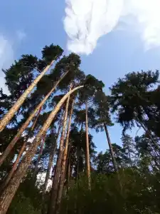 Уникс - 7