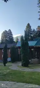 Лесной дом - 53