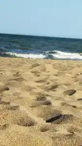 Атлант Экзотик - 72