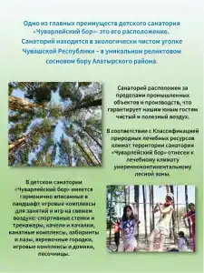 Чуварлейский бор - 13