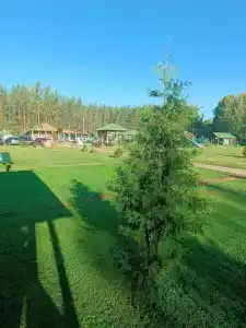 Подворье - 91