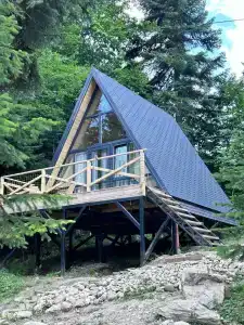Счастливый лось - 0