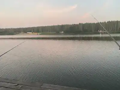 Чистые пруды - 48