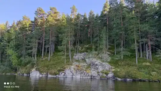 Вятиккя - 31