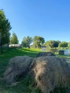 Ивушка - 14