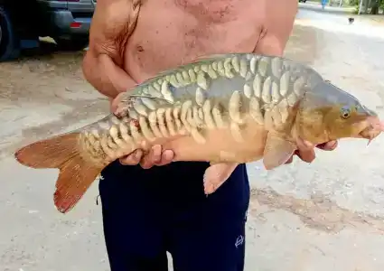 Усадьба рыбака - 11