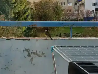 Градостроитель - 98