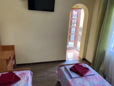 Ласточкино гнездо - 75