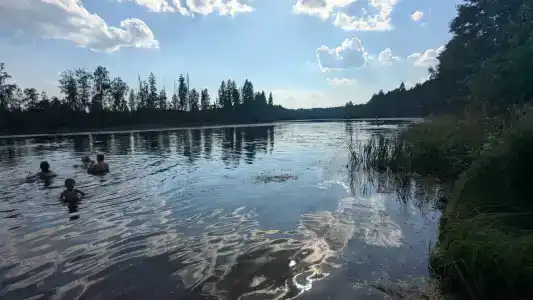 Родничок - 1