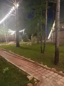 Магия леса - 60