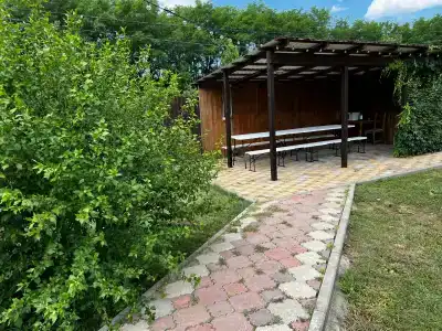Бубон - 24