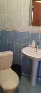 Виола - 14