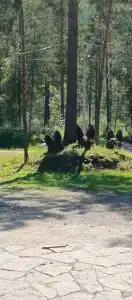 Загородный Очаг - 48