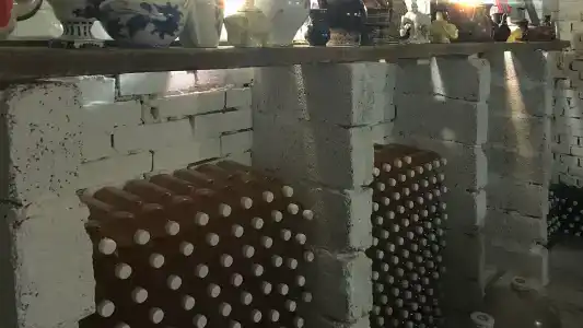 Тигратур - 41