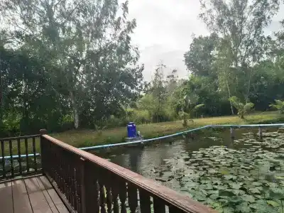 Sarocha Rayong - 12