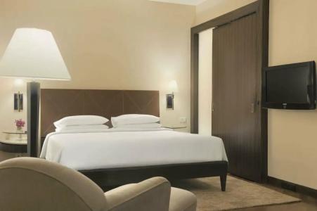 Hyatt Regency Mumbai International Airport - 66