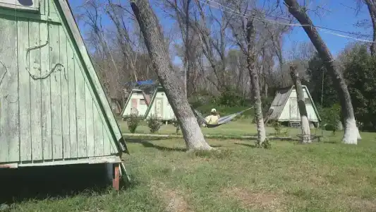 Зеленый берег - 1