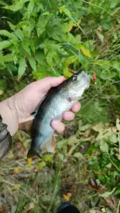 База отдыха Рюттю - 93