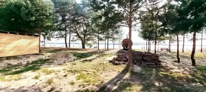 Муранский бор - 57