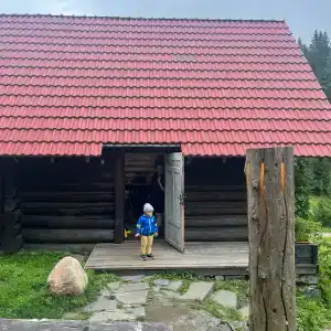Хутор Нестора - 15