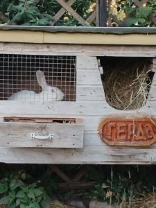 Эко Суздаль Inn - 73