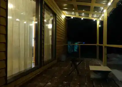 Смородина - 20