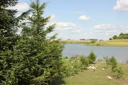 Лукоморье - 72