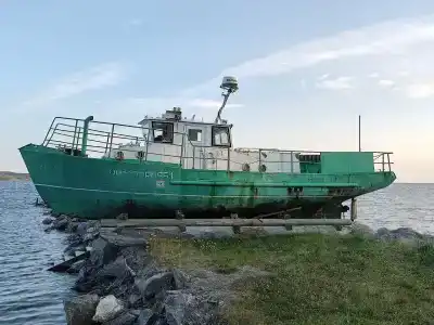 Кедр Грасс Белое Море - 16