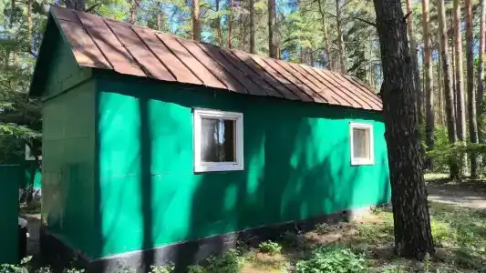 Сосновый бор - 36