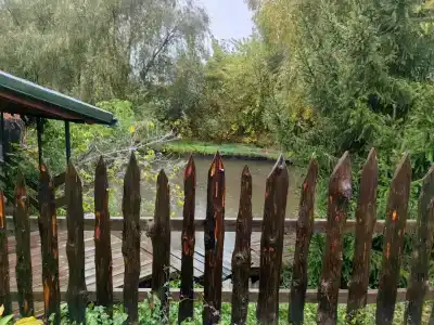 У Борисыча - 56