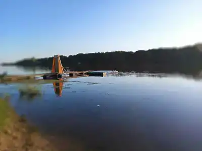 Пчелинцево - 32