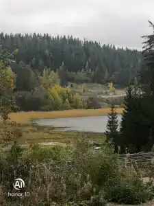 Гостевой Дворик - 72