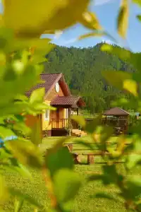 Литопур - 4