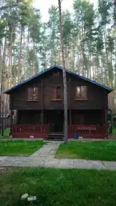Чайка - 46