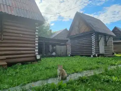 Мостовой - 4