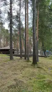 Беседки на Коркинском озере - 47