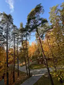 Доброе утро - 46