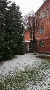 Гостиничный комплекс Мещерино Dme - 31