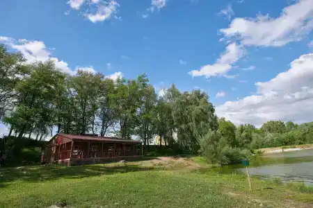 Белые камни - 41