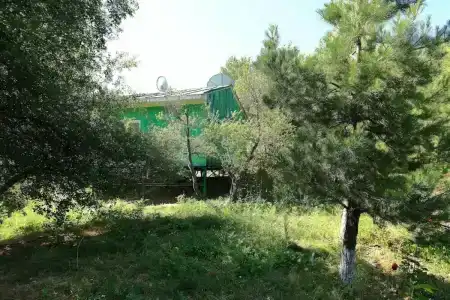 Дустлик - 5