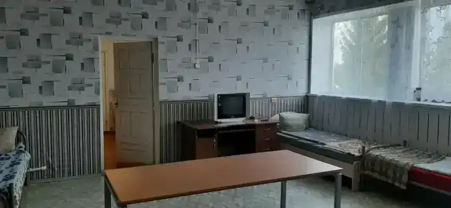 Дельфин - 1