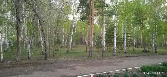 Здоровье - 12